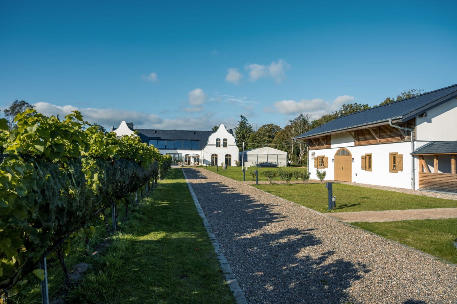 Weingut Waalem – außenbereich